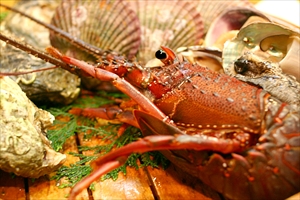 蟹・魚卵・貝類・その他魚介類